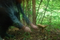 grzyby_029