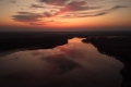 dzikie_gesi_2025-002