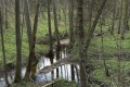IMG39