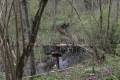 IMG_001