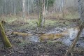 IMG_08