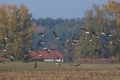 DSC_0624m