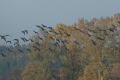 DSC_0628m