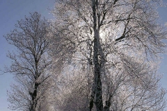 Krajobrazy zimowe
