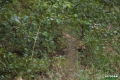 losie_054