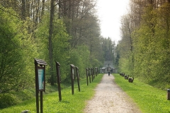 Dzikie Mazury