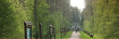 Dzikie Mazury