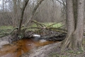 przedwiosnie_015