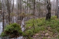 przedwiosnie_022
