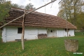 sanok_100