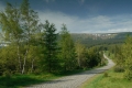 na_sniezke_005