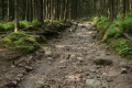 na_sniezke_008