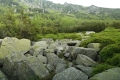 na_sniezke_014