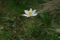 na_sniezke_029